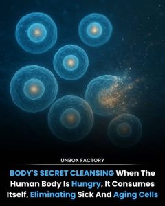 HT17. The Science Behind Autophagy: How the Body Cleans and Heals Itself Naturally