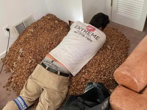 HT17. A man smells a strong smell in his house, when he finds out that he opens the wall he finds… See more