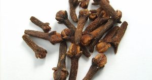 HT16. The Ultimate Guide to Cloves: Benefits, Uses, and How They Work