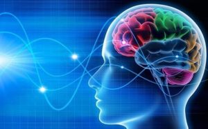 HT17. Exploring Brain Waves, Neural Synchrony, and the Question of Inter-Brain Communication