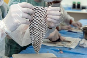 HT17. Tilapia Skin: An Innovative Alternative for Burn Recovery