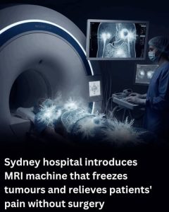 HT17. Liverpool Hospital Introduces Australia’s First MRI-Guided Cryoablation System
