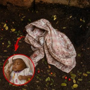 HT17. Newborn abandoned and full of… See more