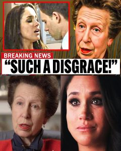 HT13. AT 73, PRINCESS ANNE FINALLY BREAKS HER SILENCE — AND THE PERSON SHE DESPISES MOST WILL SHOCK YOU!