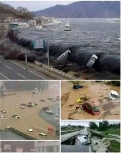 HT17. A 9.1 magnitude earthquake also caused a tsunami in the city of… See more