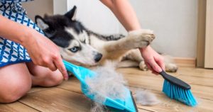 HT17. 8 Subtle Signs That a Home Isn’t as Clean as It Looks