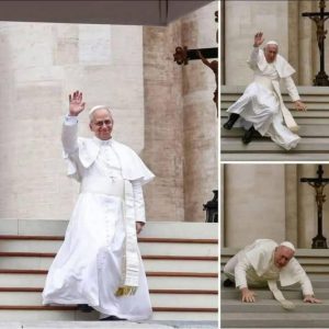 HT17. Breaking lion xiv injured after equipment malfunction