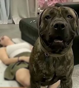 HT17. J0ven was hospitalized after being pen*trat… See more