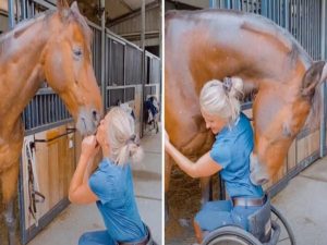 HT16. Young woman was hospitalized after being pe…See more