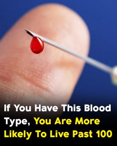 HT17. Studies indicate that people with this blood type have higher chance of living to 100