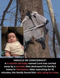 HT17. After a Tornado Snatched a Baby From the Crib, the Outcome Stunned All