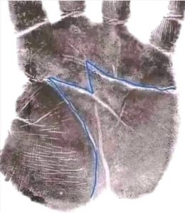 HT17. Having the letter M on the Palm of your hand means that…See more