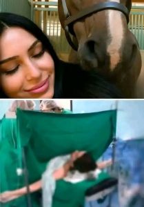 HT13. Young woman has been hospitalized after being pen… See more