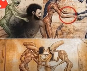 HT17. The BIBLE says the age difference between couples is a… See more