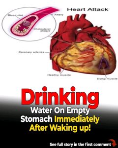 HT17. Benefits of Drinking Water on an Empty Stomach: Boost Your Health from the Start of the Day