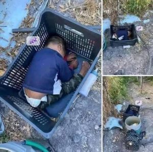 HT17. This approximately 2-year-old boy was found… See more