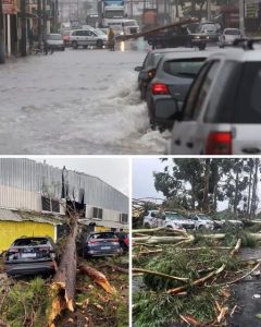 HT17. Urgent! Now a severe thunderstorm is moving to the cities of… See more