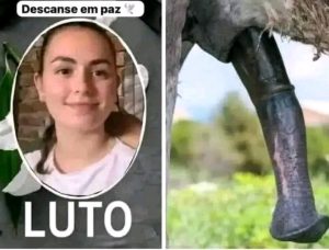 HT17. The woman who was a victim of having a pen… See more