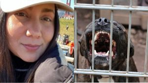 HT17. The girl who was ingr3sed for being a pen…See more