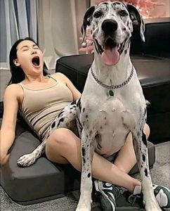 HT17. Young woman hospitalized after being penet… see more