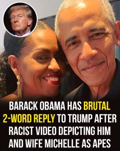 HT17. Barack Obama’s brutal reply to Trump after racist video depicting him and Michelle as apes