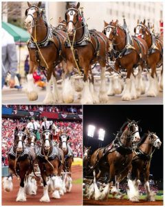 HT17. Weeks before kickoff, Budweiser blew up the rulebook, dropping its ad early and sending a shockwave across global social media.