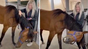 HT17. Young woman was hospitalized after being penetrated…See more