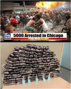 HT17. 2:37 AM: The Chicago Night That Cracked a Cartel Alliance from the Inside