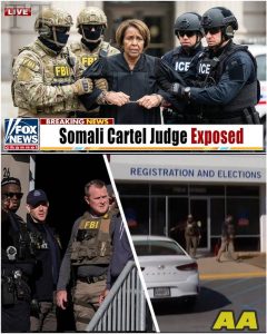 HT17. The Law Firm That Hid a Cartel: Inside the Minneapolis Fentanyl Network