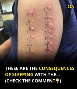 HT13. These are the consequences of sleeping with the… See more