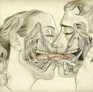 HT19. WHAT HAPPENS WHEN WE TONGUE KISS…See more