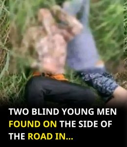 HT17. Two blind young men found on the side of the road in… See more