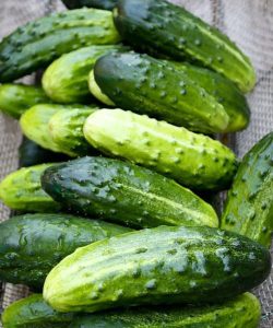 HT13. Doctors reveal that eating cucumber in salads causes…