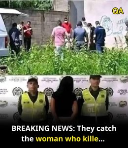 HT13. BREAKING NEWS They catch the woman who kille… see more