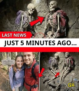 HT13. LATEST NEWS Just 5 minutes ago…See more