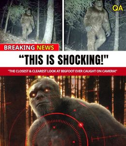 HT4. Hunter Gets Jaw-Dropping Close-Up of GIANT Bigfoot