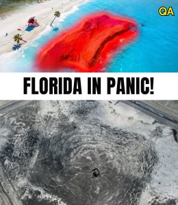 HT4. Florida’s Beaches Are VANISHING Overnight — “Sunshine State” Turns Into a Geological Horror Show