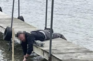 ST17. 15 Confusing Photos That’ll Make You Do A Double Take