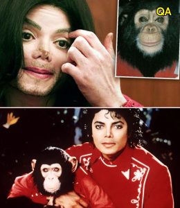 HT4. I never imagined he’d turn on me like that