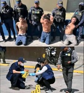 HT15. Breaking News: The most dangerous criminals have been captured…