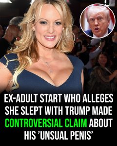 HT13. Ex-adult star who says she slept with Trump made one surprising claim about his manhood