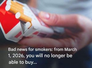 HT15. Cigarette Prices Explained: Taxes, Margins, and Price Changes