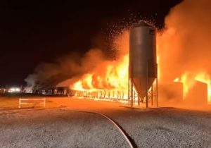 HT4. A few hours ago a big fire broke out in M… See more