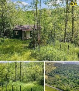 HT15. Nature Lover’s Dream