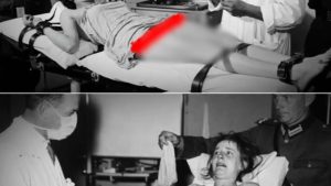 HT15. “You Won’t Feel Anything” — Inside the Forbidden Experiments of Block 10