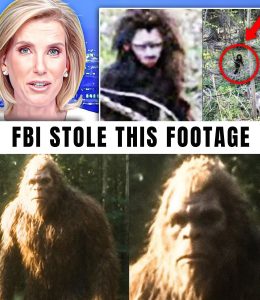 HT4. Bryce Johnson BREAKS HIS SILENCE — The Drone Footage Discovery That Never Aired and the DARK TRUTH Producers Tried to Bury