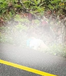 HT4. Young Woman Found Dead Amid Suspected Envy