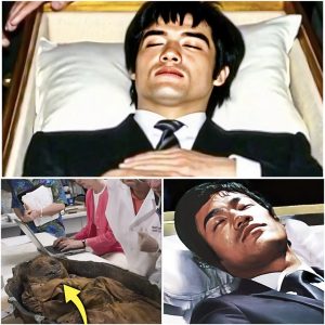 HT4. BREAKING: Bruce Lee’s Tomb Opened After 52 Years, Revealing a Shocking Discovery That Stunned the World
