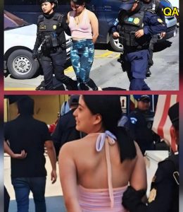 HT4. Unbelievable: Woman caught having s…See more