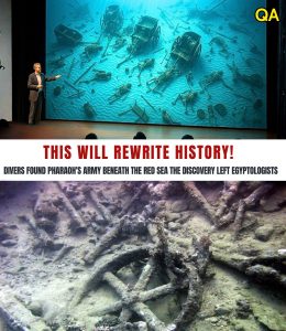 HT4. ‘THIS SHOULDN’T BE HERE’: The Alleged Red Sea Discovery That Left Egypt Experts Silent and Shaken